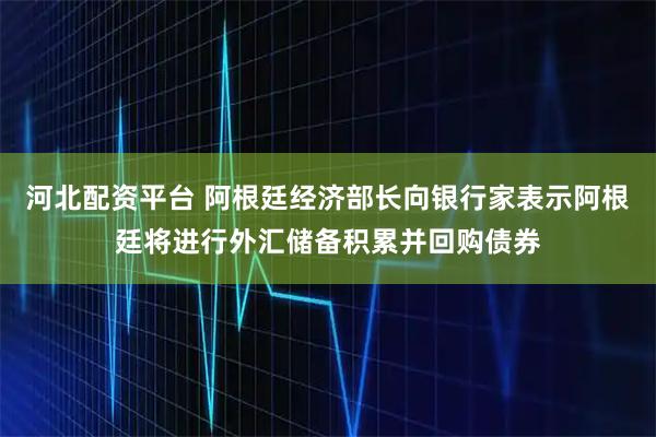 河北配资平台 阿根廷经济部长向银行家表示阿根廷将进行外汇储备积累并回购债券